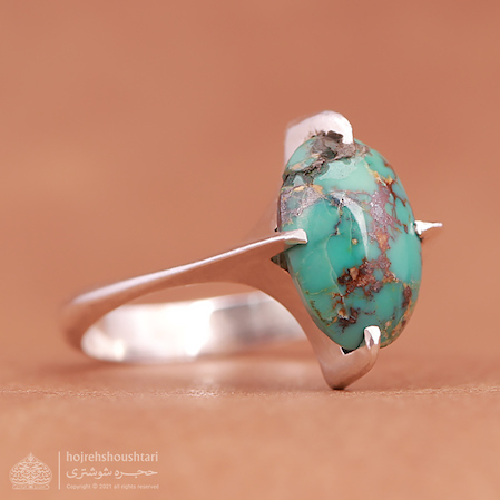  فیروزه شجری T1910