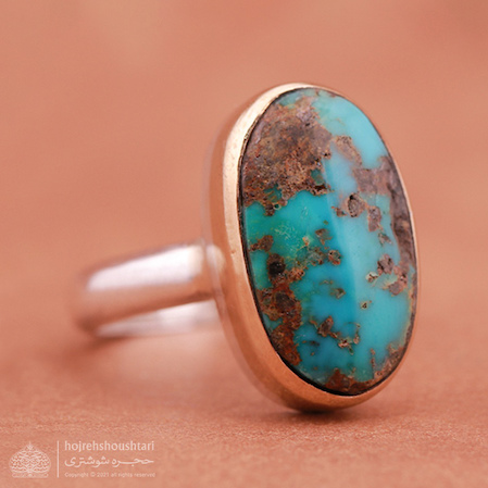 فیروزه نیشابوری D2095